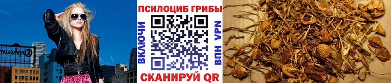 Галлюциногенные грибы Magic Shrooms  Камышлов 