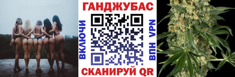 купить наркотики цена  Камышлов  Бошки марихуана Amnesia 